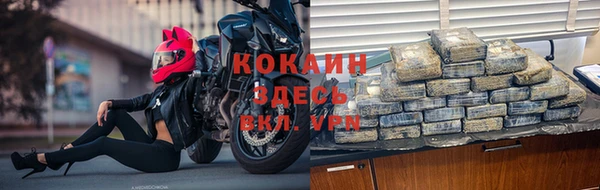 не бодяженный Бородино