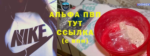 не бодяженный Бородино
