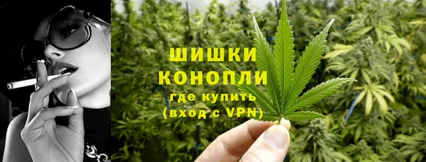не бодяженный Бородино